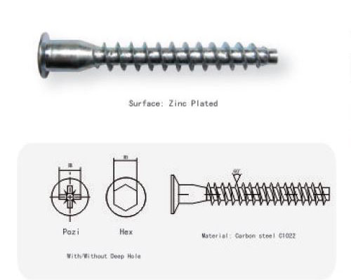 POZI/HEX RECESS WITH/WITHOUT HOLE